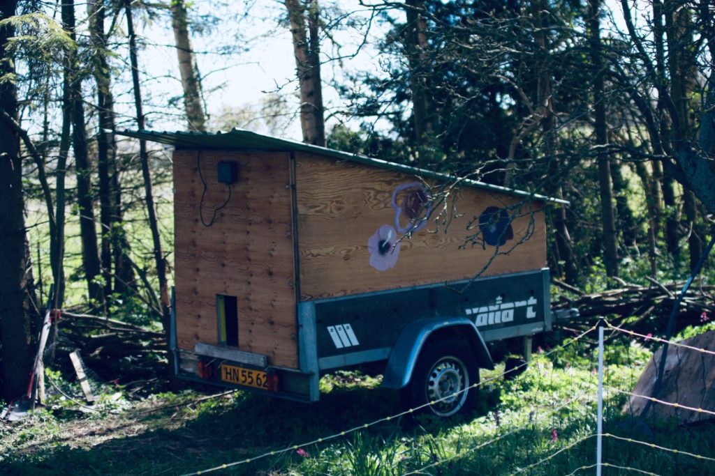 A car trailor rebuilt into a mobile henhouse or chickens coop
