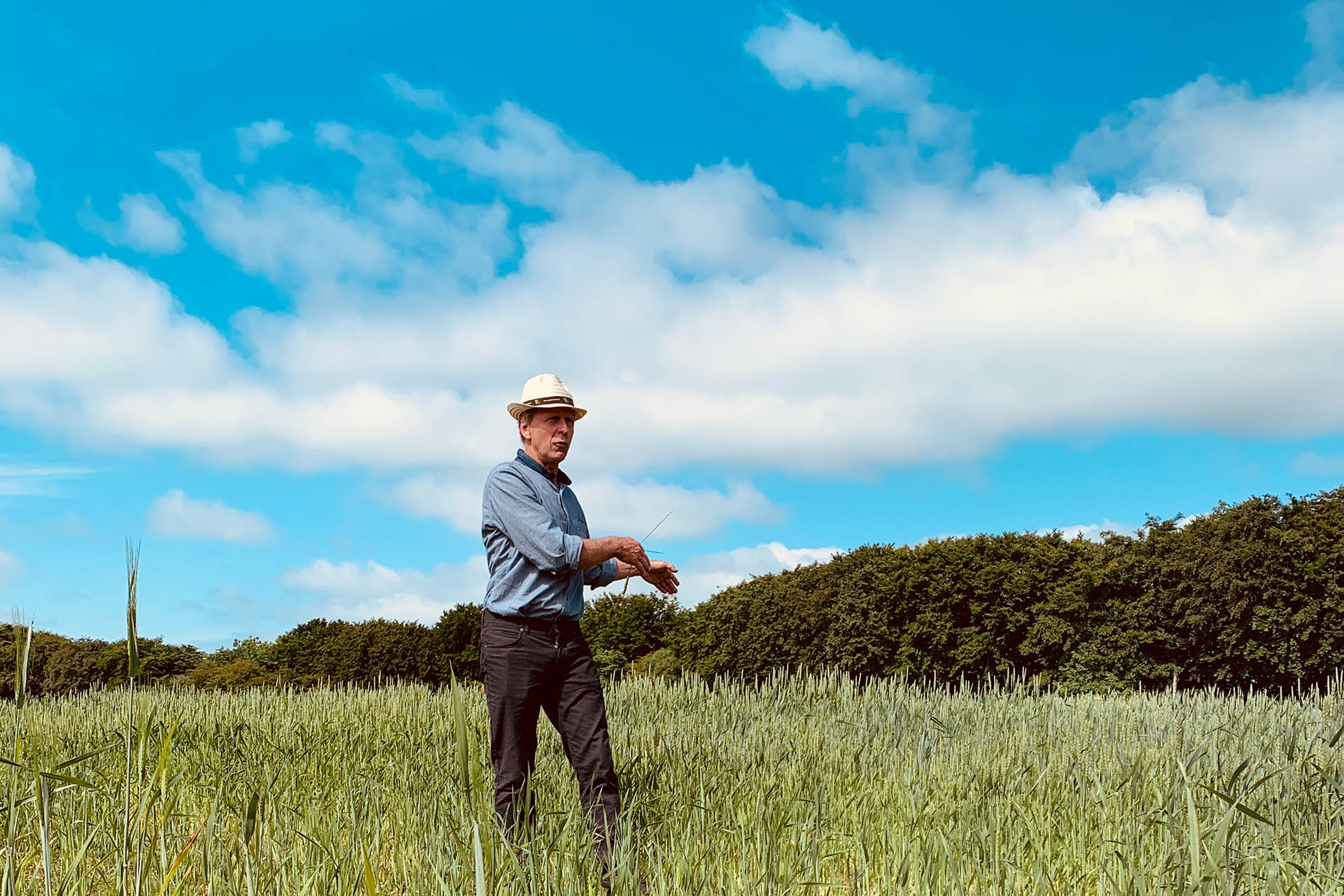 Anders Borgen breeds for biodiversity. Here he is standing on the grain fields in Mariager, Jutland Denmark.